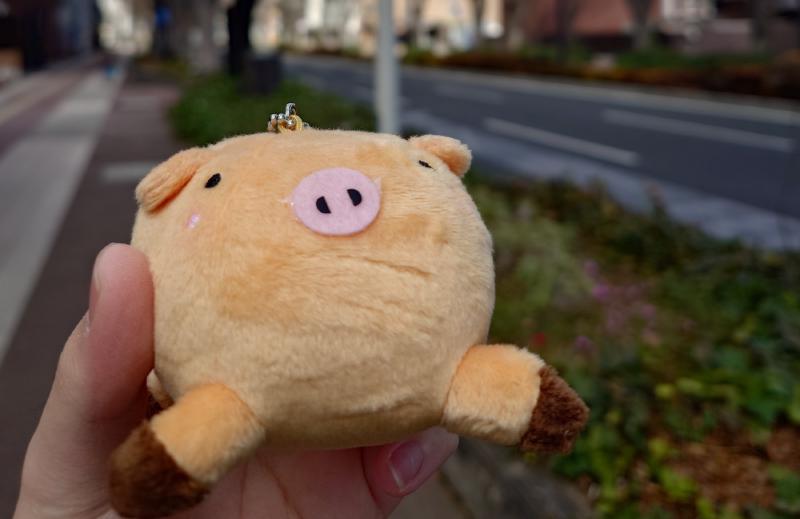 Featured image of post "はんげつであえたら"の旅の記録