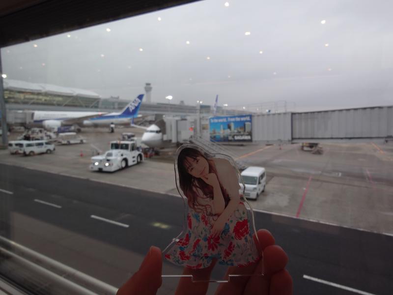 Featured image of post AURORA鳥取公演の感想ツイートまとめ + α