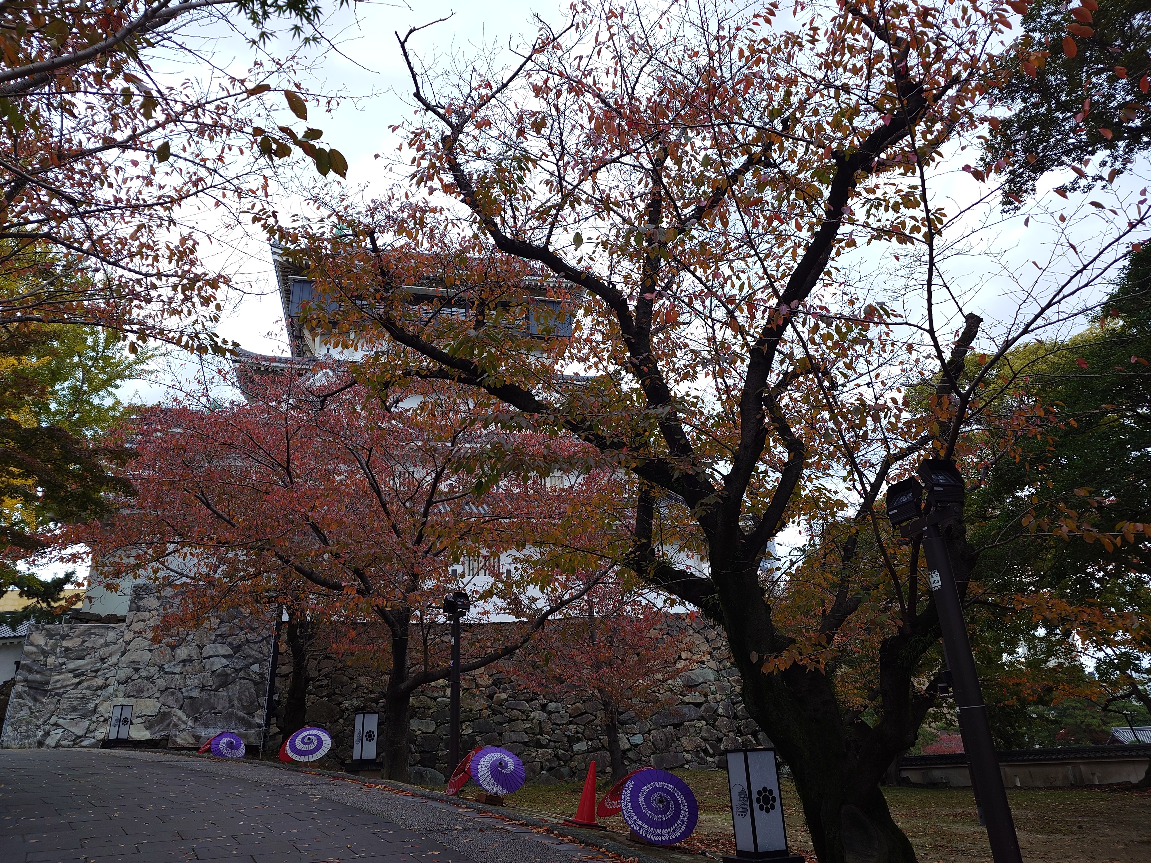 城の建物が見えてきた