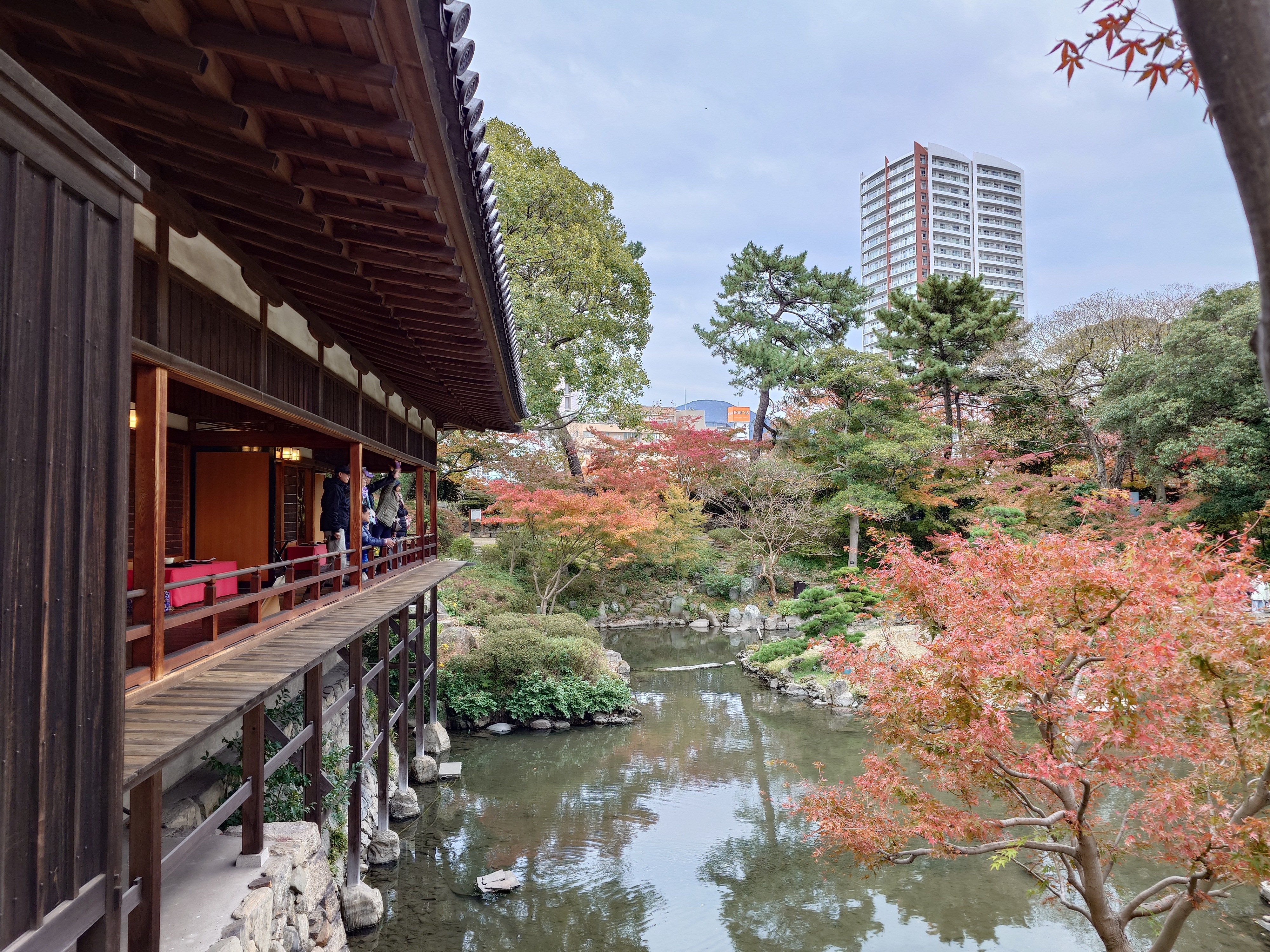 庭園の風景