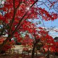 萩に朗読劇を観賞しに行った旅の記録 Day2 (全2回)