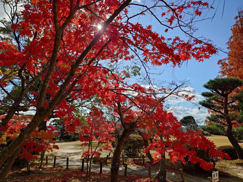 Featured image of post 萩に朗読劇を観賞しに行った旅の記録 Day2 (全2回)